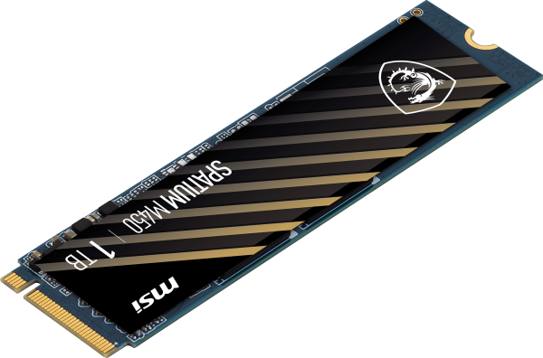 SPATIUM M450 PCIe 4.0 NVMe M.2 1TB | Dysk SSD Online Sale