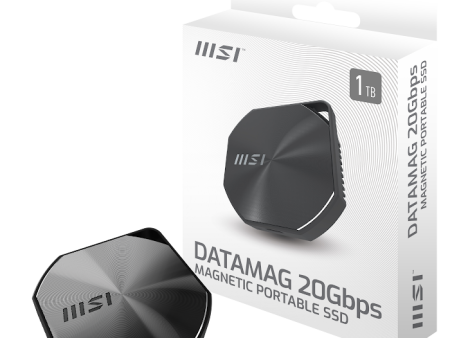 MSI DATAMAG 20Gbps 1TB Hot on Sale