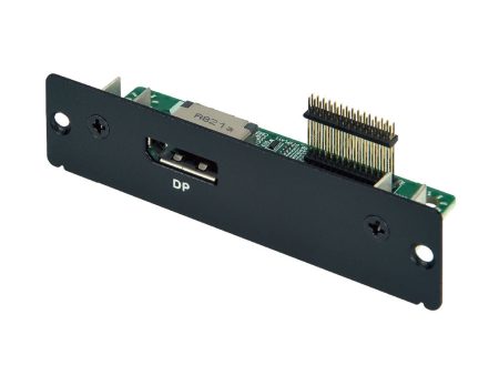 Mitac MS-01DPN-D10 DisplayPort Expansion Module for MB1-10AP Online Hot Sale