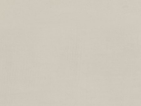 American Olean - Subtle Strands 24 in. x 24 in. Colorbody Porcelain Tile - Dune Fashion